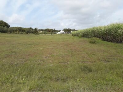 Vends terrain 97215