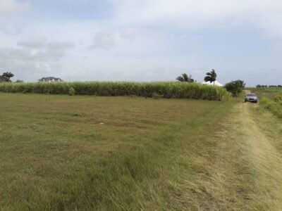 Terrain campagne